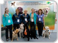 �6-� ������������� �������� ����������������� ������������ ����������� -17� � 1-� ���������� ����� �� ��������� � ���������������� �������.&nbsp;-&nbsp;&nbsp;������� �������� ����� ������